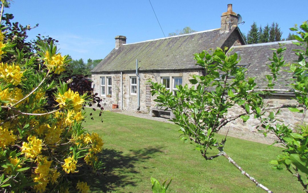 One To One Feng Shui Workshop On Zoom With Jackie Tyrrell